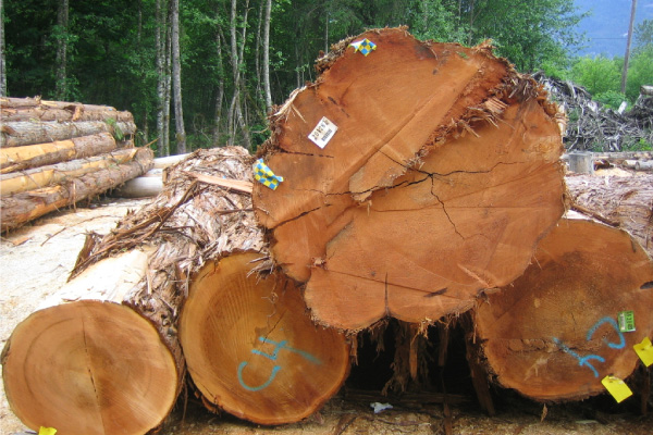 100%天然木の採